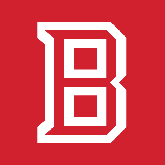 Bradley Braves 2012-Pres Secondary Logo v4 diy fabric transfer